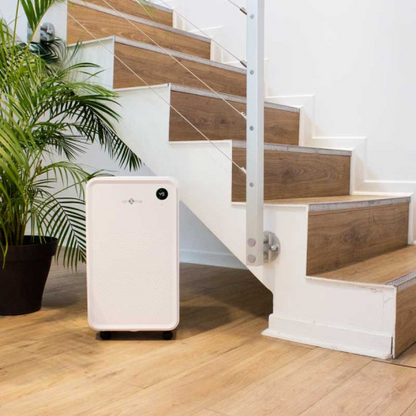 LUFTENTFEUCHTER LARY 12L/D